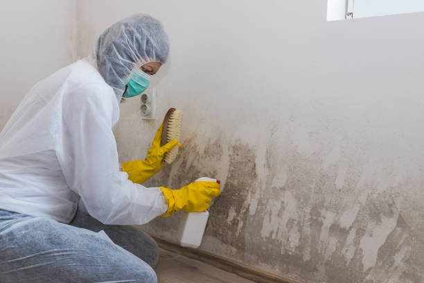 Best Crawl Space Mold Removal  in Santa Fe, TX