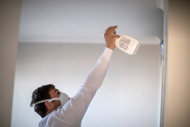 Best Residential Mold Removal  in Santa Fe, TX