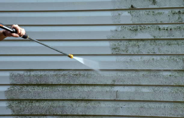 Best Affordable Mold Removal  in Santa Fe, TX