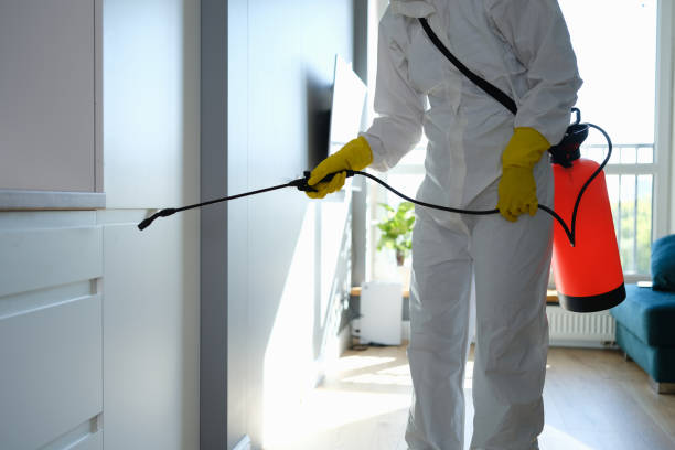 Best Mold Cleaning Services  in Santa Fe, TX