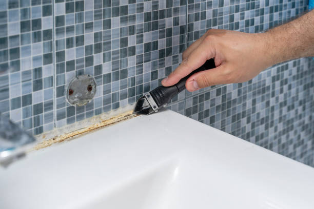 Best Local Mold Removal Service  in Santa Fe, TX