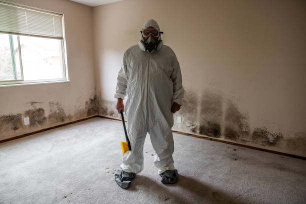 Best Mold Removal Process  in Santa Fe, TX